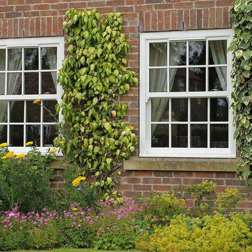 uPVC Sliding Sash Windows